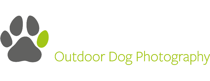 Image of Picsal Photography company logo located at Dorking