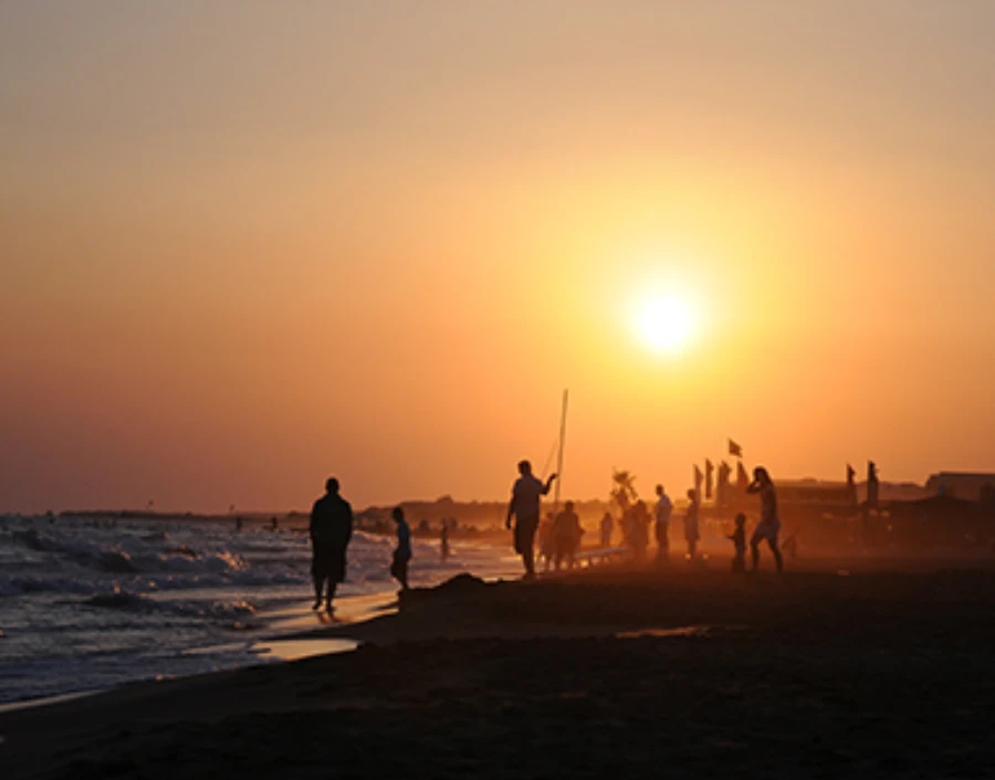 Image for Picsal Photography  Service - House Photography, Photography, Car  Photography, Bird Photography, Event Photography, Nikon, Estate Photography,  Sports photography,  Professional photography, Camera Pole Photography, Dog Photography, Interior Photography