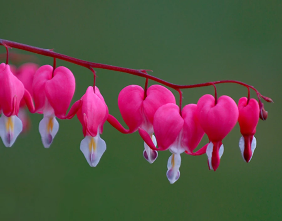 Image for Picsal Photography  Service - Camera Mast Photography, Cruise Photography, Pet Photography,  Events & Weddings, Product Photography, Surrey Hills Photography, Car  Photography,  Sports photography, Building Photography,  Head shots, Perspective View, Photographer in the South of England