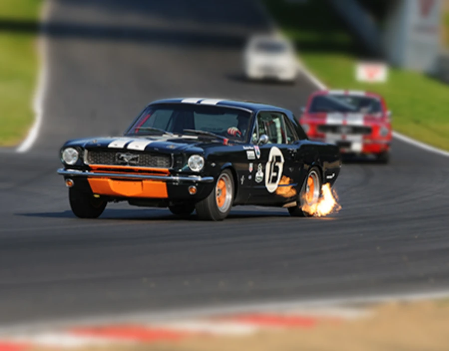 Image for Picsal Photography  Service - Photography, Advertising Photography, Photographer in Surrey,  Events & Weddings,  Commercial, Surrey photographer, D500, Dorking Photographer, Bird Photography, Elevated Photography, Commercial Photography, Event Photography