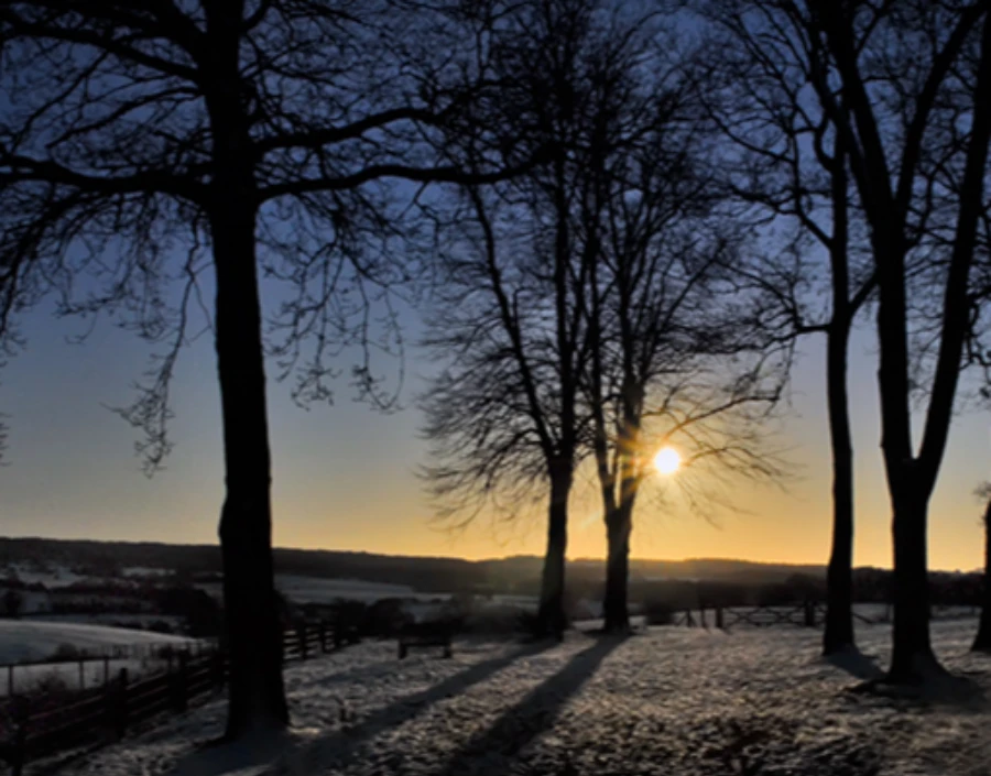 Image for Picsal Photography  Service - Pixel Photography, SLR Photography, House Photography, Surrey Photographer, Aerial Photography, Dorking Photographer, Sports Photography,  Sports photography, Natural Photography, Animal  Photography, Interior Photography,  Commercial