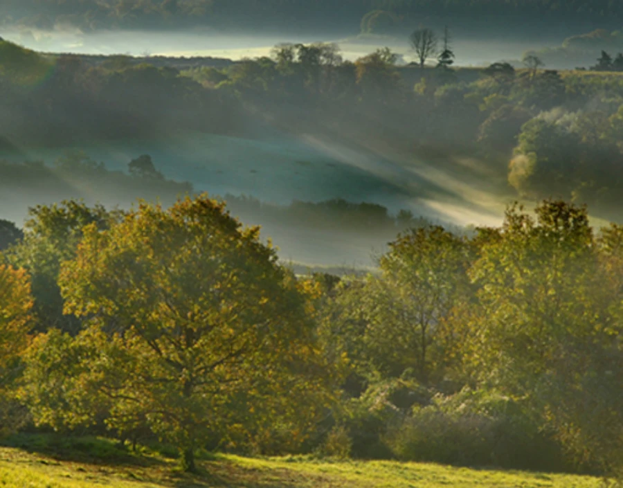 Image for Picsal Photography  Service - Holiday Photography, Sales Photography,  Sports photography, Picsal Photography, Estate agents photography, Perspective View, D500, Dog photography, Camera Mast Surveys, Nikon, Bird Photography, Dog Photography